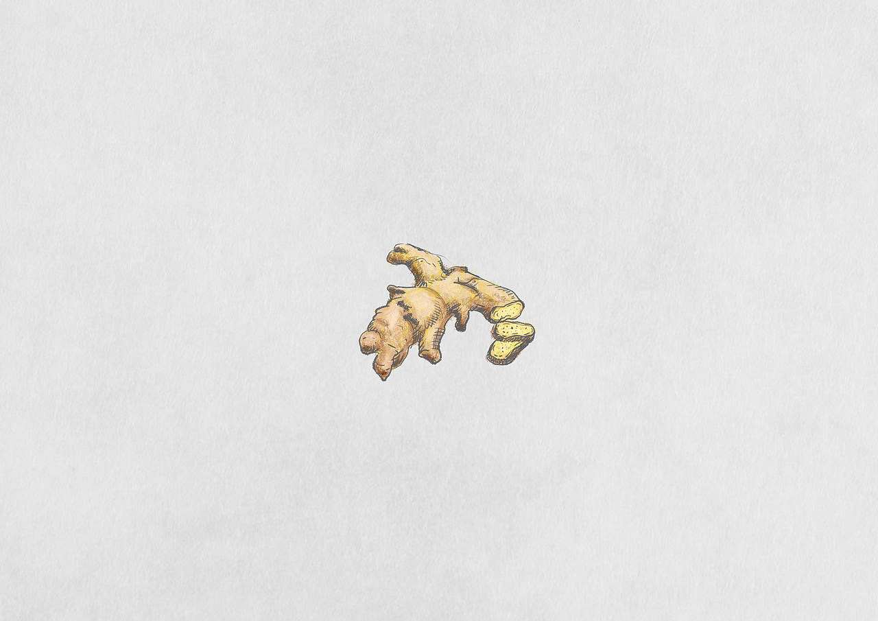 手绘食材（图ZNTY0OTEzMjQ=） - 商业插画 - 站酷设计师蚂蚁掉进海里原创素材 - 站酷ZCOOL