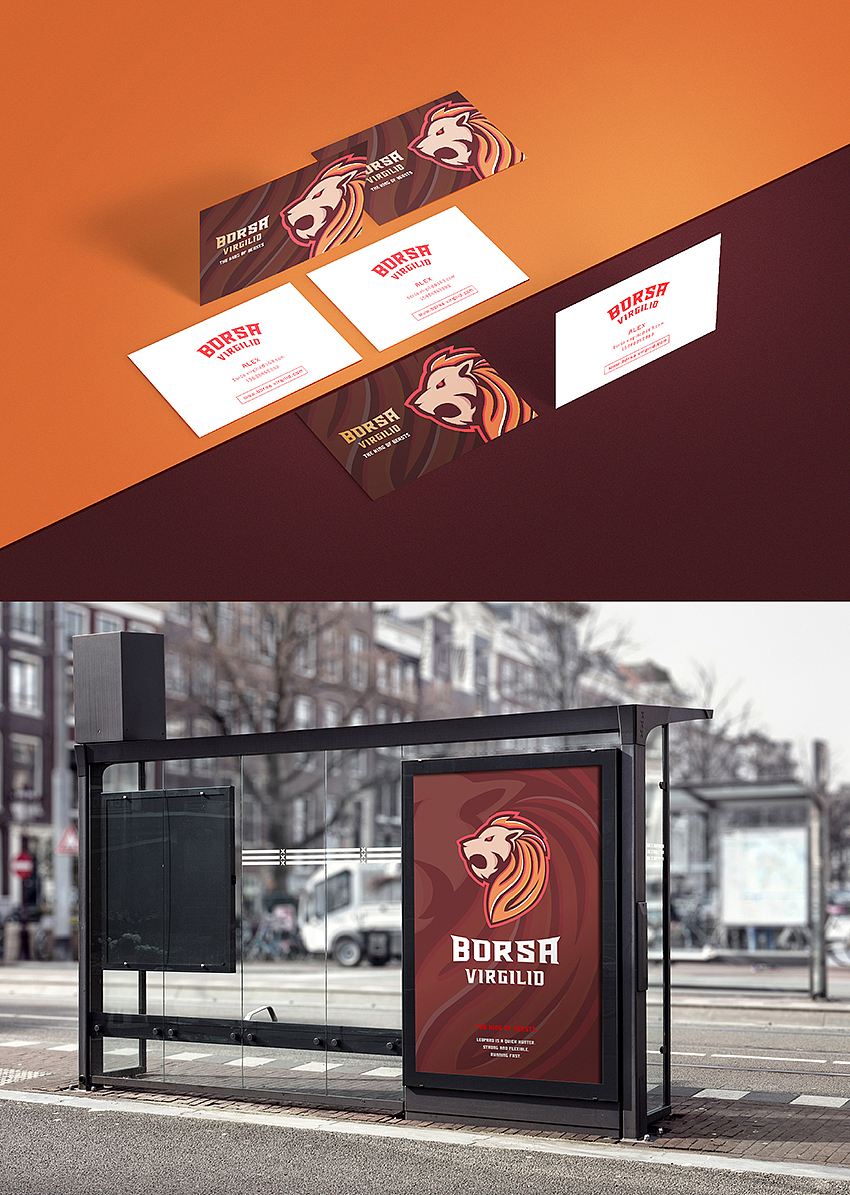《BORSA VIRGILID》潮牌服饰VI设计 by 心铭舍