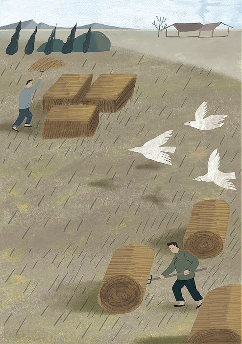 《红蚂蚱绿蚂蚱》（图ZNTk4NDIwODg=） - 商业插画 - 站酷设计师逆行阿星原创素材 - 站酷ZCOOL