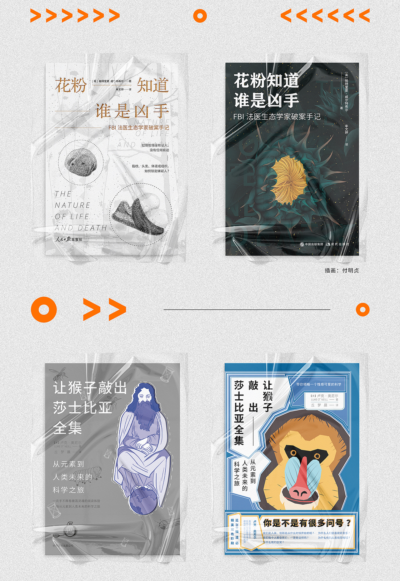 2020,迟到的总结