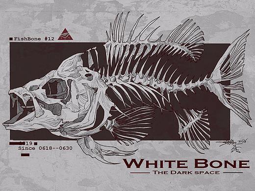 Animal Skeleton  2019