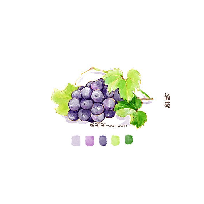 ipad 水彩插画-美食合集