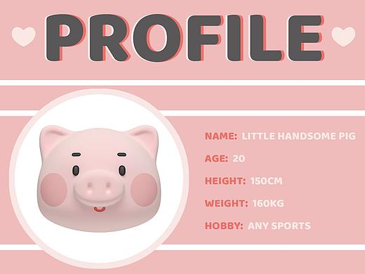 LITTLE HANDSOME PIG - IP形象设计