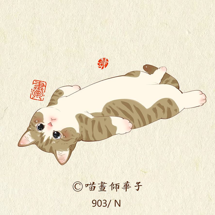 画猫的第三季250天,937天的画猫纪录
