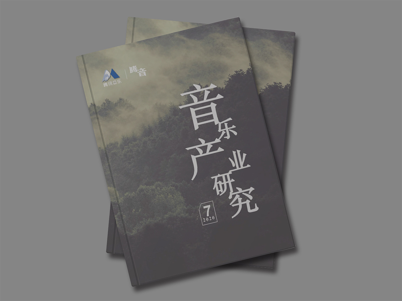 腾讯音乐产业研究20年7\11期