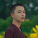 星尘视觉的头像