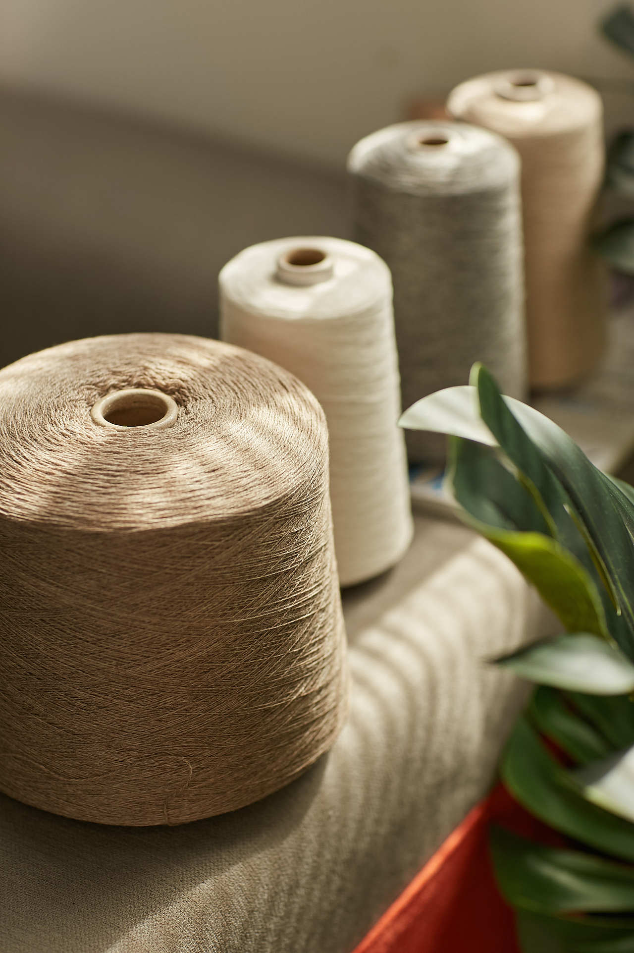 棉绳棉线针织纺织线轴|摄影|产品摄影|佰立摄影设计 - 原创作品