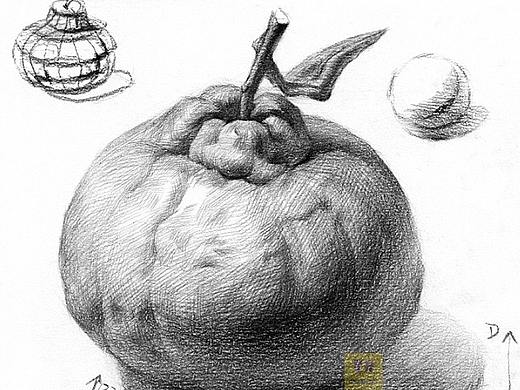 静物素描桔子绘画步骤