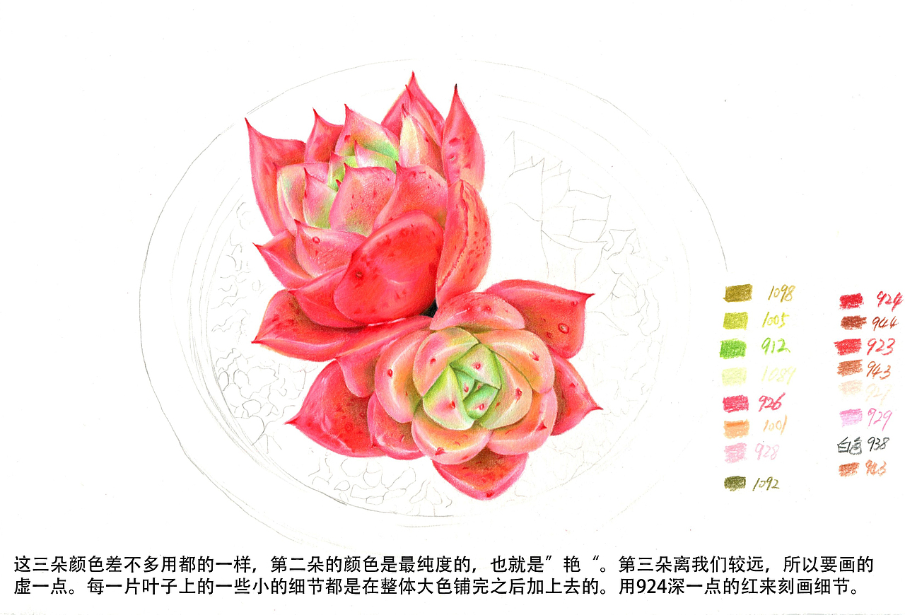 彩铅多肉教程（图ZMTQ4MTY1NzI4） - 绘画 - 站酷设计师拾光者Art原创素材 - 站酷ZCOOL