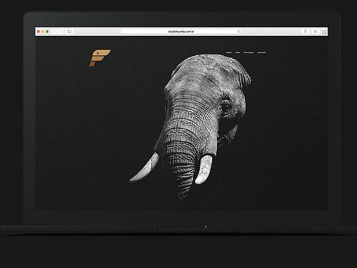 /LOGO/FEIXIANG  南京飞象贸易提案
