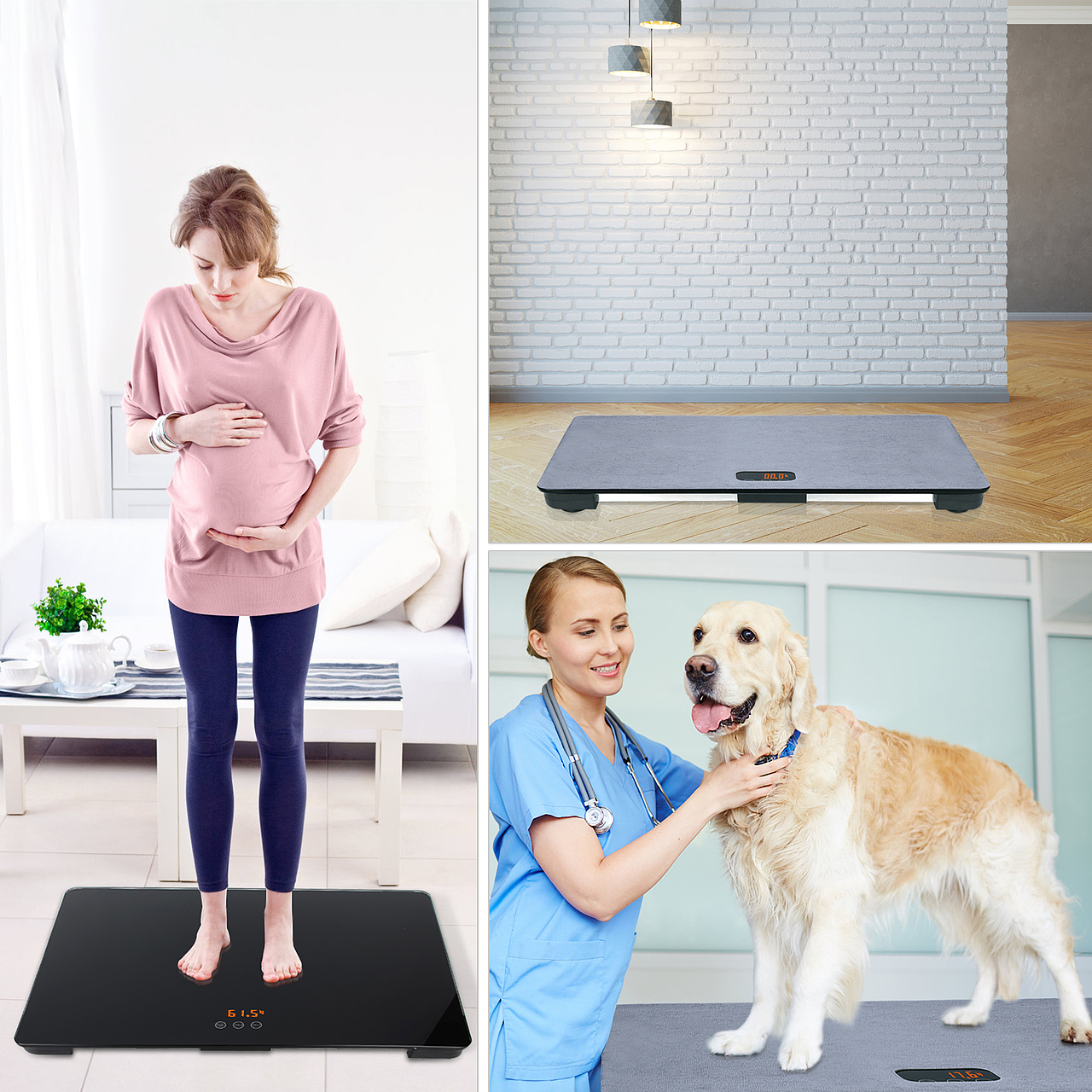 金洲视觉亚马逊产品拍摄设计精修做图宠物称重器专用称