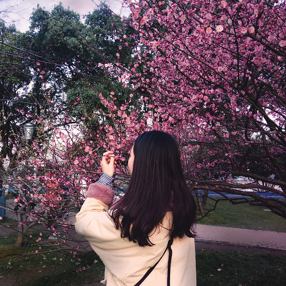 嗅觉——闻花香