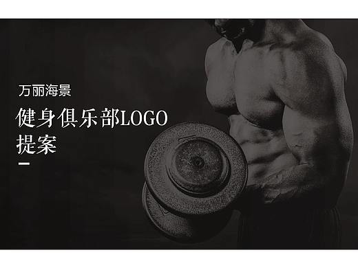 logo提案-飞机稿