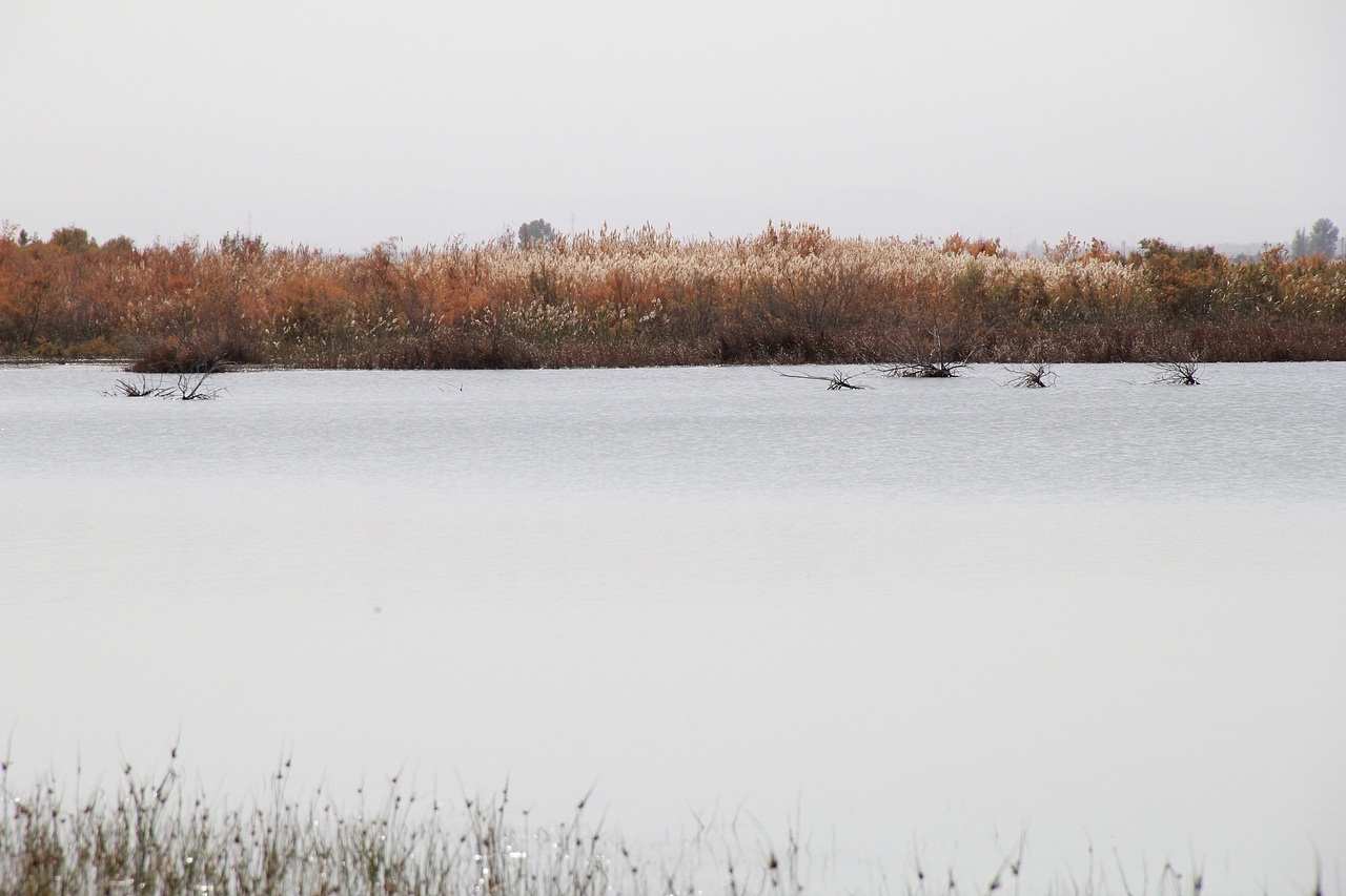 家（图ZMTg1NjY4NjY0） - 风光摄影 - 站酷设计师沐兮丫原创素材 - 站酷ZCOOL
