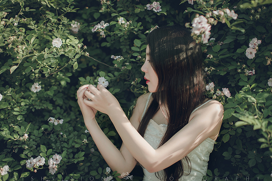 《花漾》【菲希视觉作品】