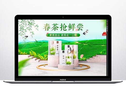 春茶首页