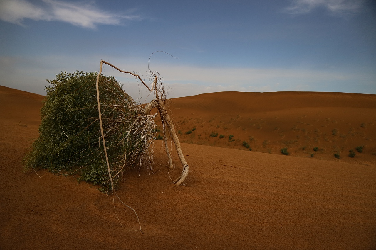 沙漠之旅（图ZMTAxMDY0MDg4） - 风光摄影 - 站酷设计师阿伟OVO原创素材 - 站酷ZCOOL