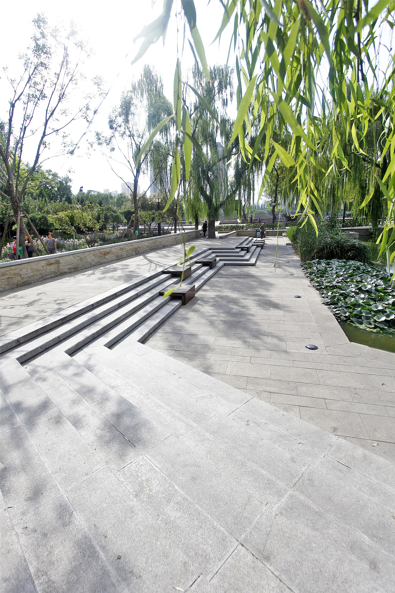 太原龙潭公园栖凤湖湿地