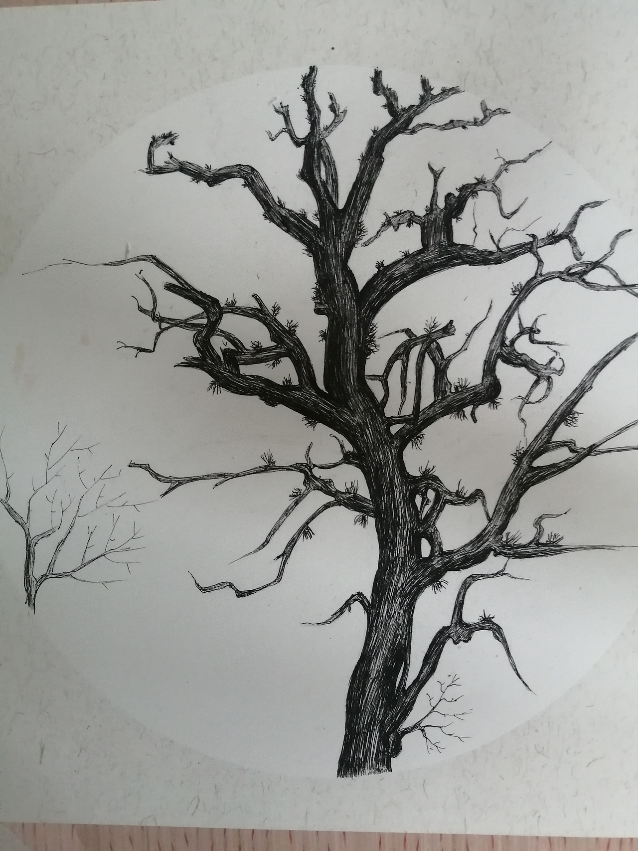 树|纯艺术|绘画|你譹_原创作品-站酷zcool