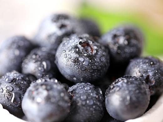 蓝莓（个人主页-ZMzU3MjgxODA=） - 产品摄影 - 站酷设计师侯存林原创素材 - 站酷ZCOOL