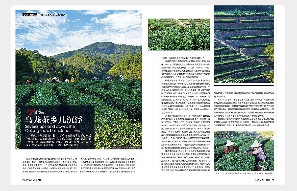 《时代三明》杂志2013年第11期三明的茶（图ZNzU5MzU1NjQ=） - 书籍/画册 - 站酷设计师郑源华原创素材 - 站酷ZCOOL