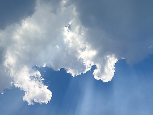 思维导图模板流向无尽夜色里177蝴蝶效应不知名的老宋西瓜的设计平果