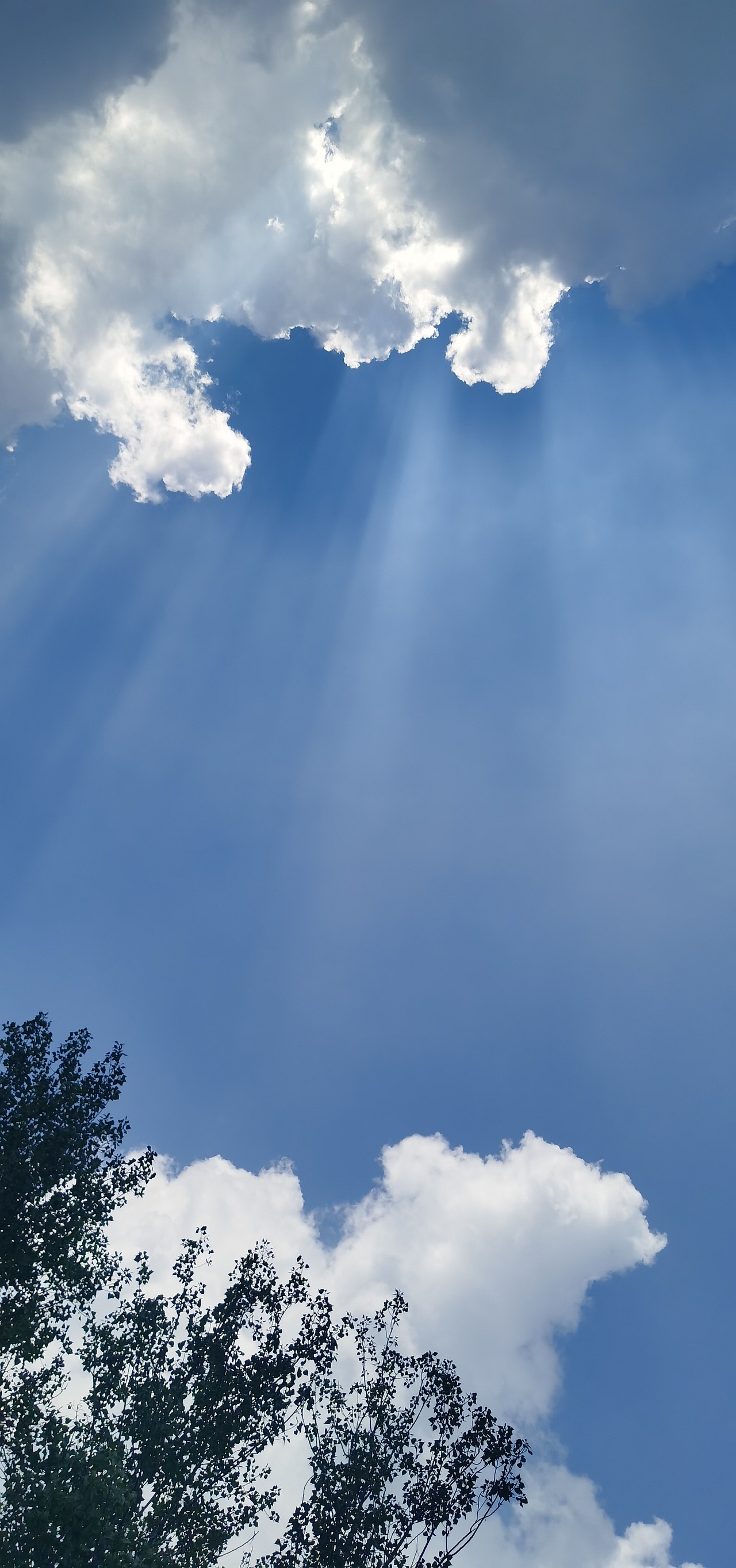 丁达尔效应（图ZMjY3ODkwNDY4） - 风光摄影 - 站酷设计师赵小八BA原创素材 - 站酷ZCOOL