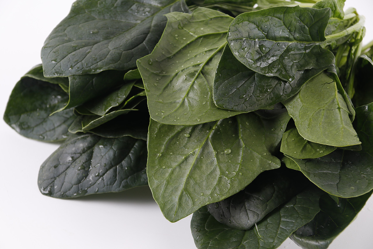 B07水产生鲜\C08-新鲜蔬菜\V09菠菜