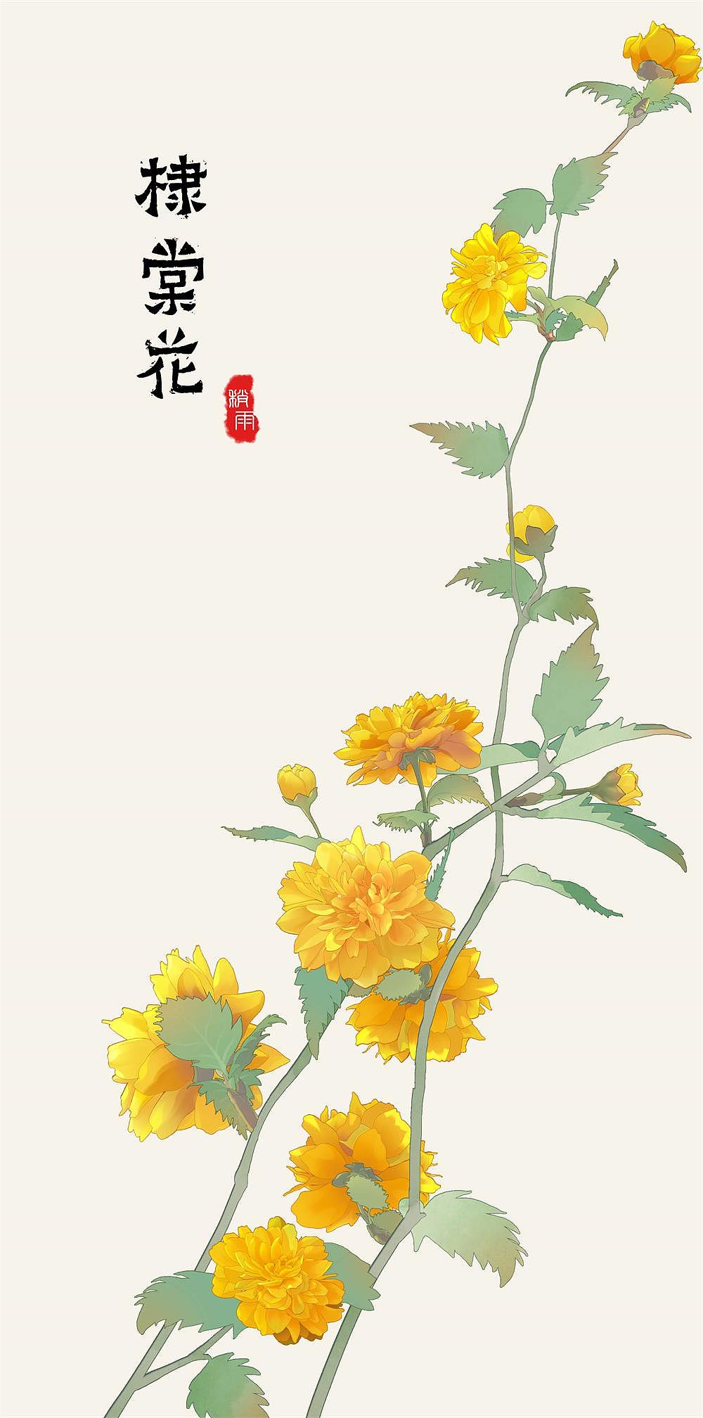 二十四番花信风