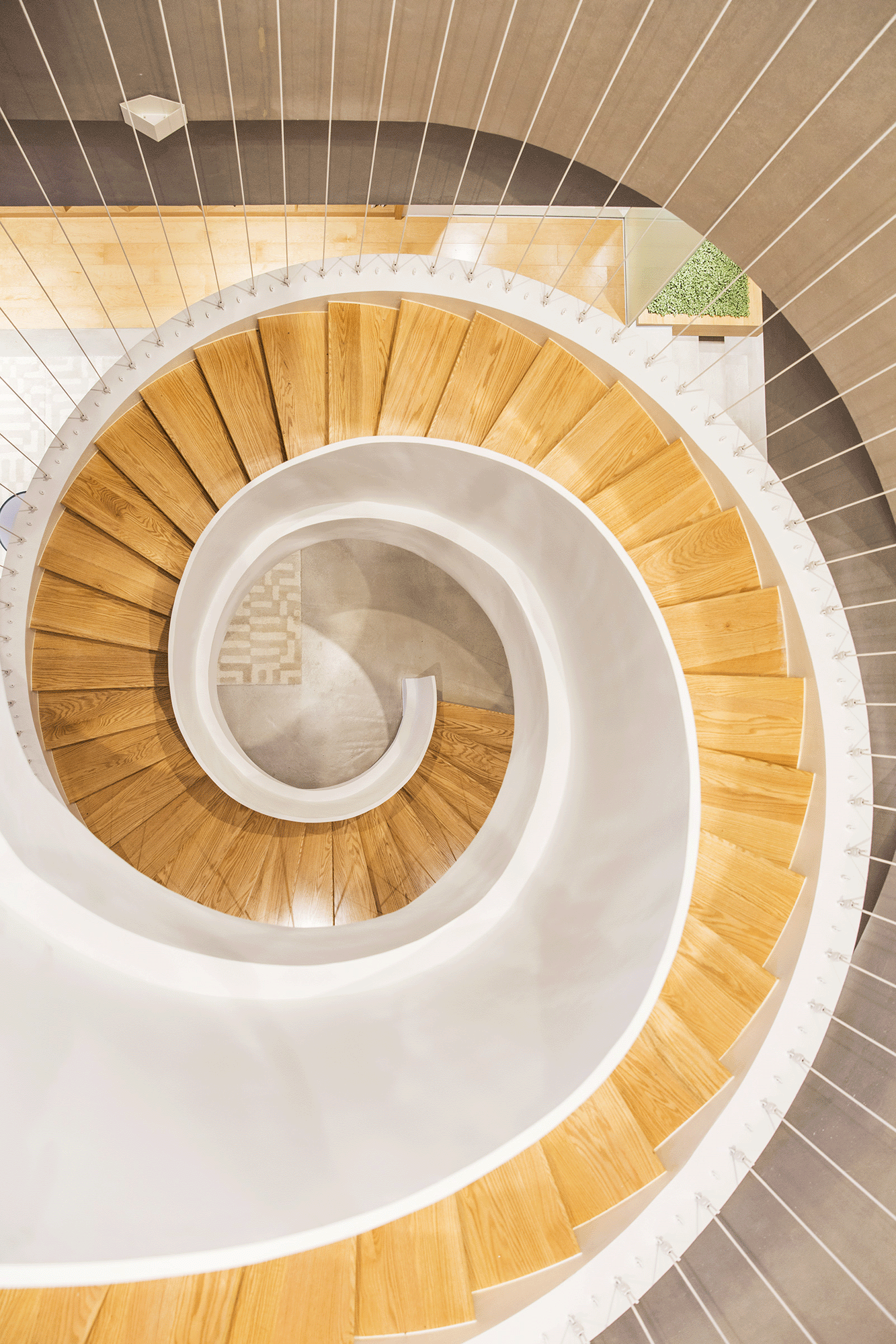 TANG | 唐硕办公室设计