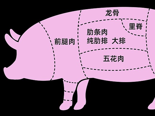 猪肉分割图 部位图 psd分层图 ai矢量图
