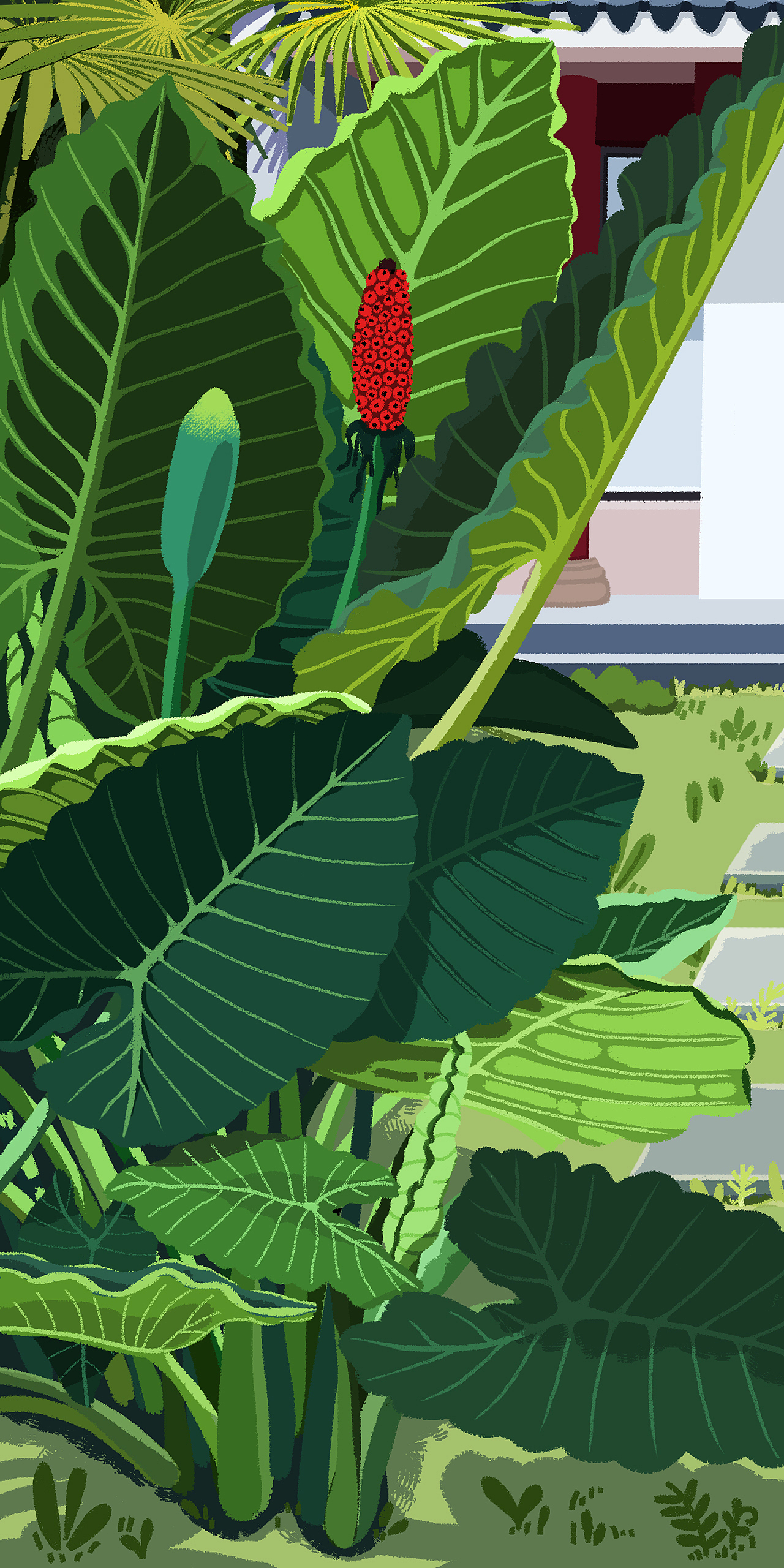 自然教育中心/自然学校/宣传插画