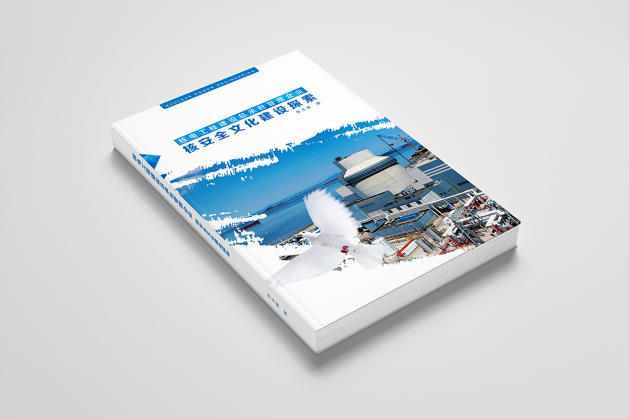 书籍封面设计（图ZNjk1OTMyMjA=） - 书籍/画册 - 站酷设计师Sunny双原创素材 - 站酷ZCOOL