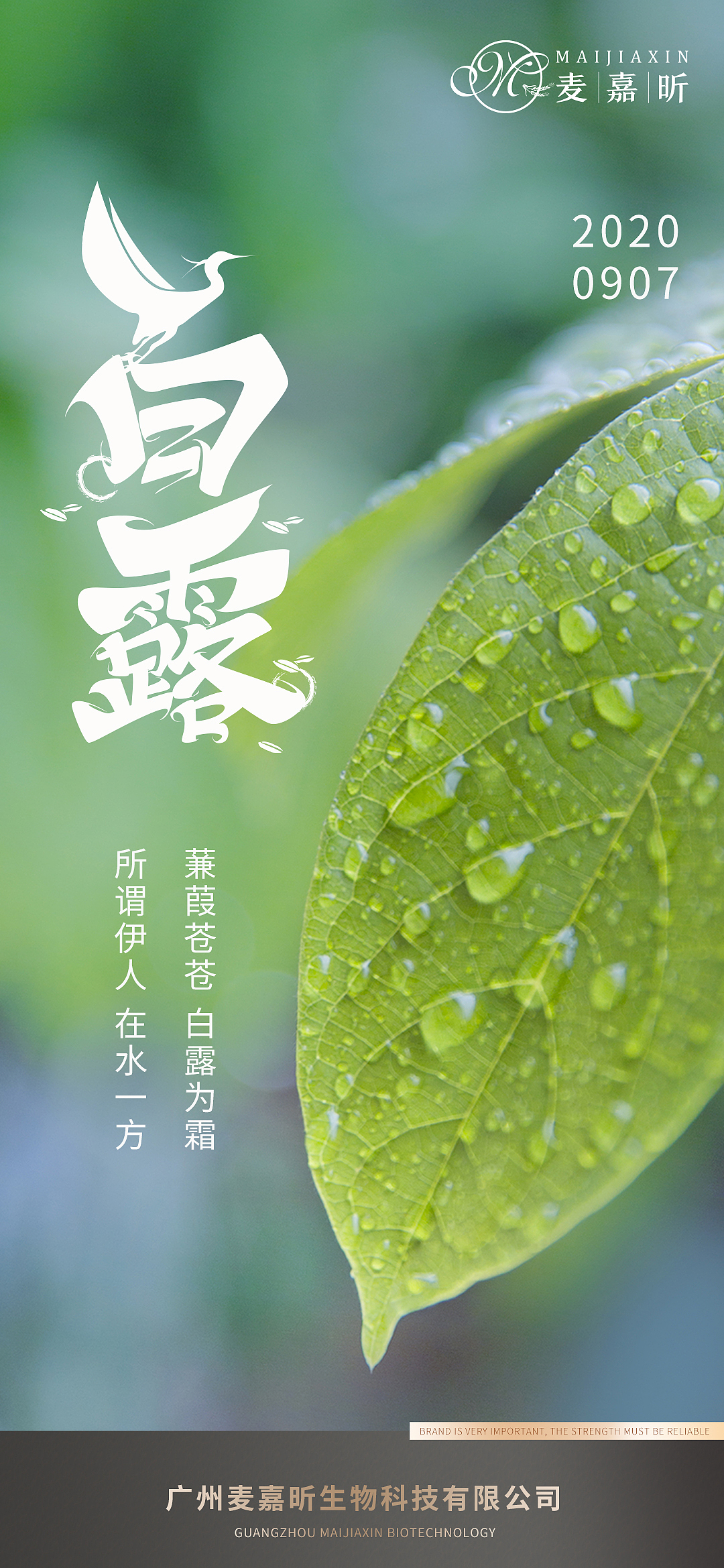 2021工作日常（图ZMjUyNDI2MjY4） - 海报 - 站酷设计师渝中至尊宝原创素材 - 站酷ZCOOL