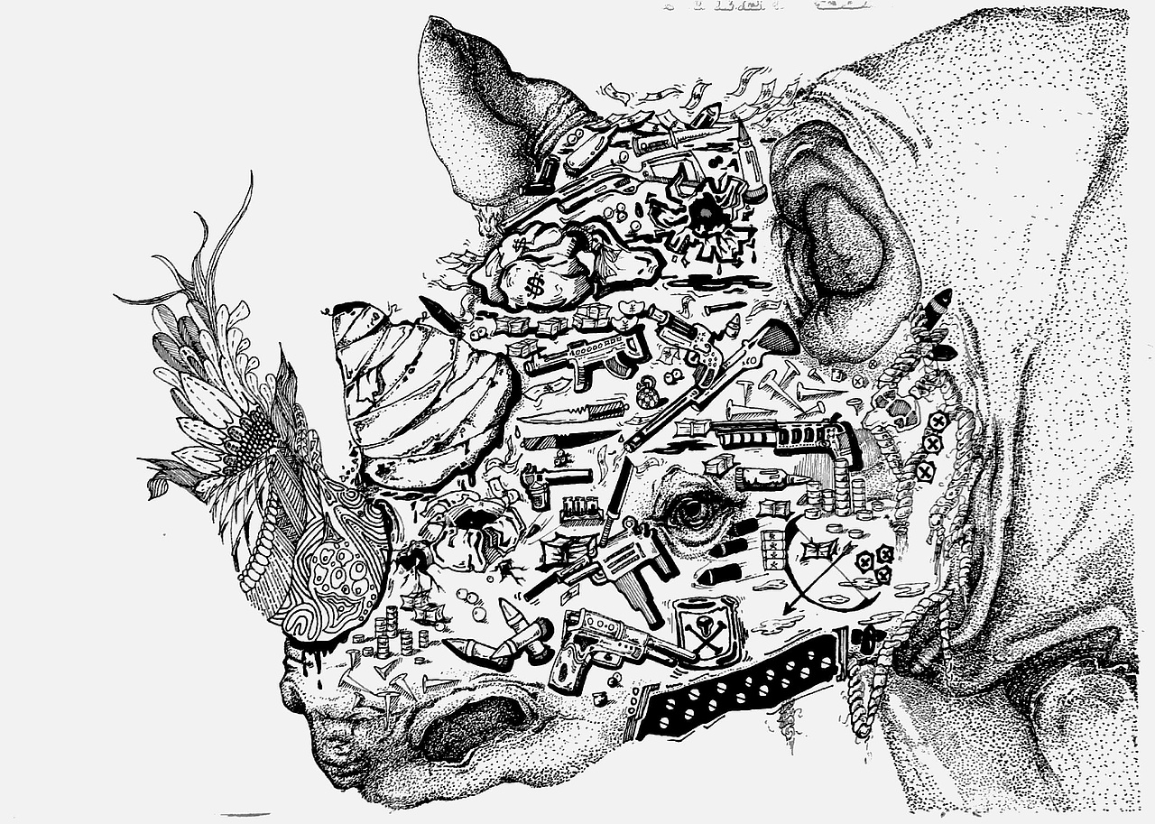 《保护动物——犀牛》|插画|创作习作|xiao宇bu雨_原创作品-站酷zcool