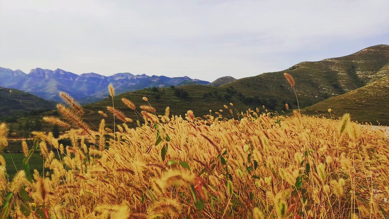 故乡的原风景