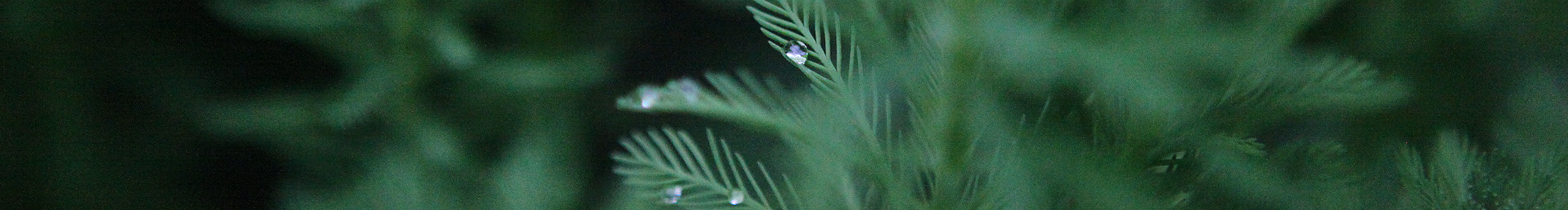 随心deW的个人主页（封面预览） - 主页封面设置 - 站酷设计师随心deW原创素材 - 站酷ZCOOL