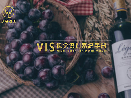 vis识别视觉系统手册(D启酒庄)
