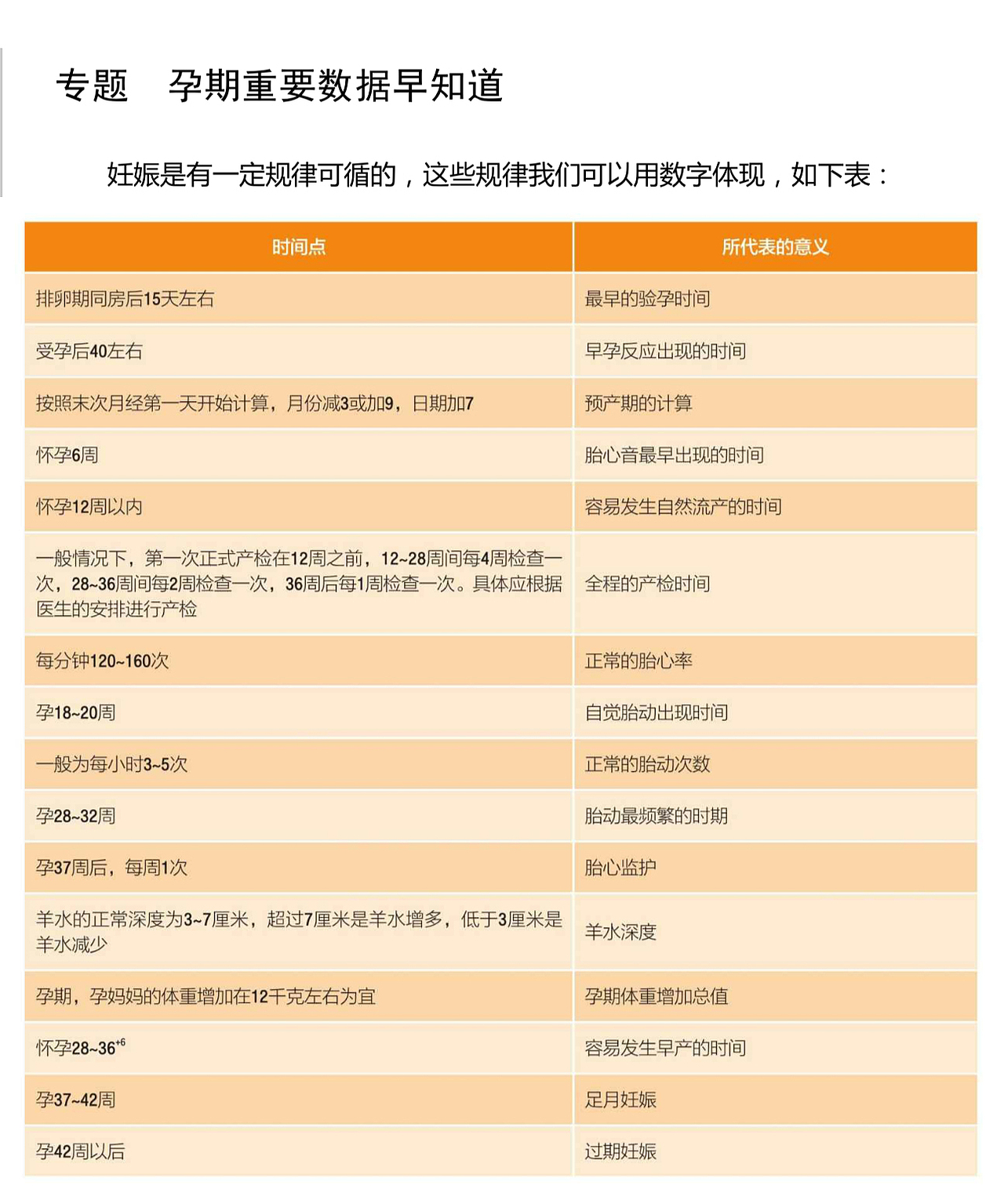 孕中期饮食-美食插画