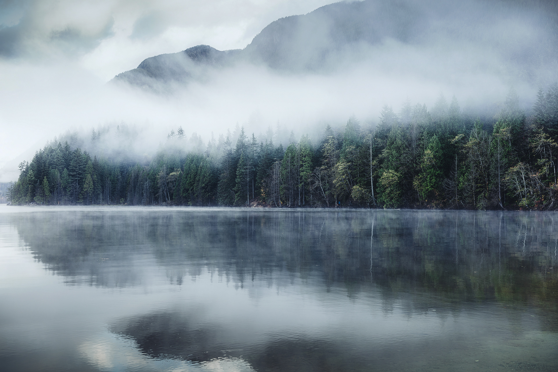 WQMdesign的個人主頁（封面預(yù)覽） - 主頁封面設(shè)置 - 站酷設(shè)計師WQMdesign原創(chuàng)素材 - 站酷ZCOOL