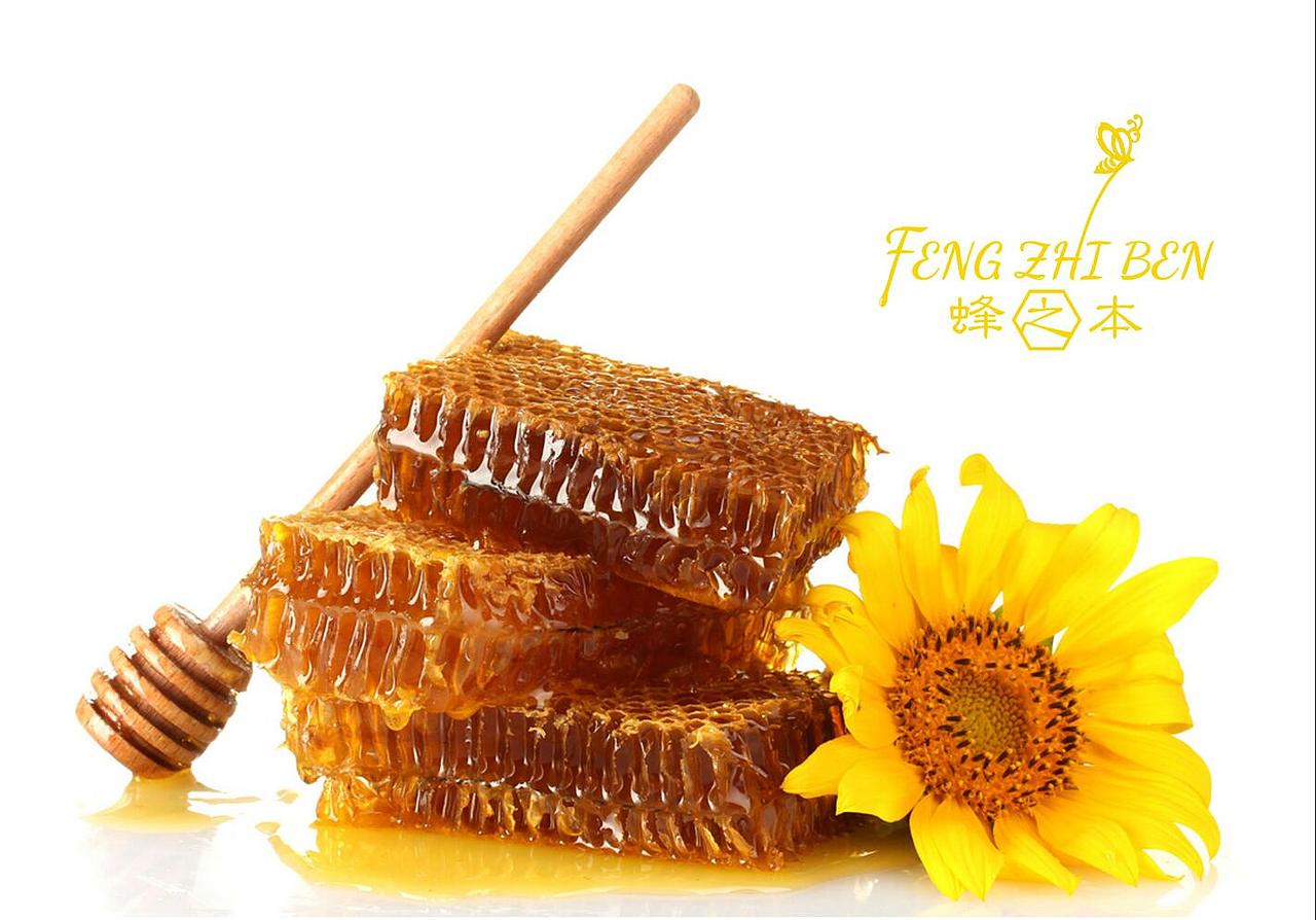 峰之本 品牌全案设计 蜂蜜VI设计（图ZOTg0MzM4MTI=） - 品牌 - 站酷设计师虚谷设计院原创素材 - 站酷ZCOOL