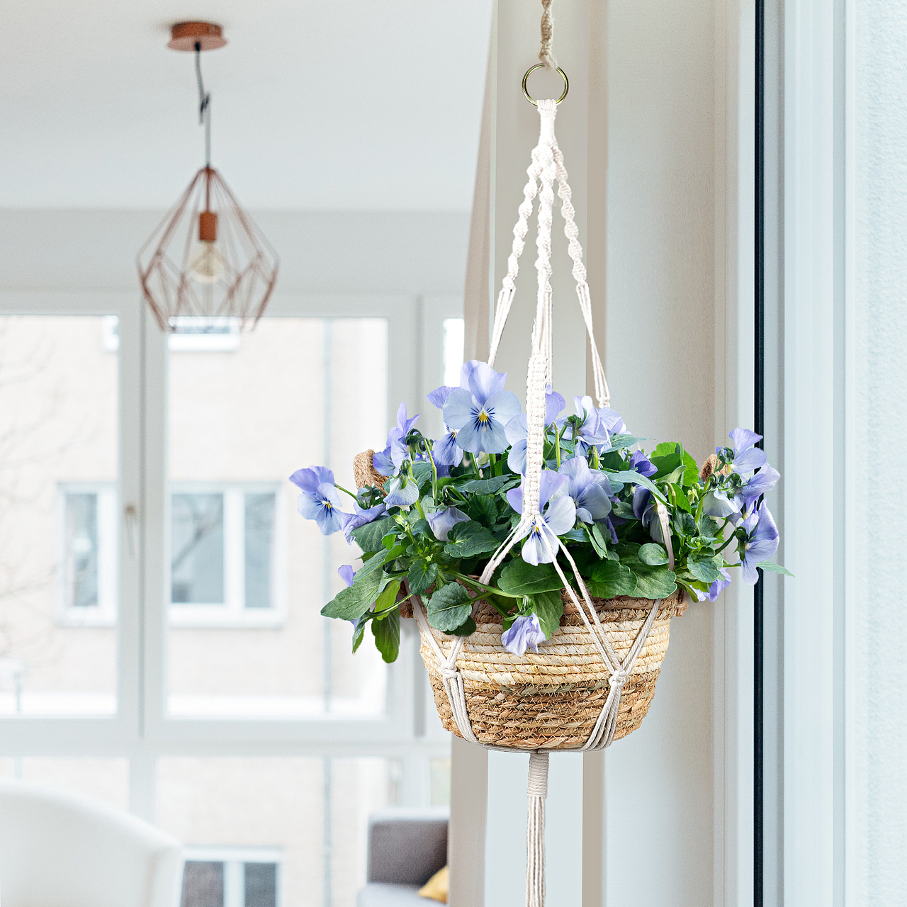 植物吊篮-亚马逊主图