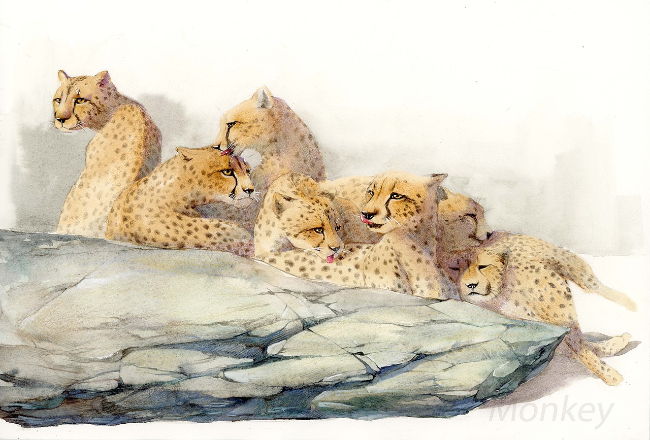 《沈石溪寓言故事》插图（图ZMjcyNzkwMTQ4） - 绘本 - 站酷设计师王俊宇Monkey原创素材 - 站酷ZCOOL