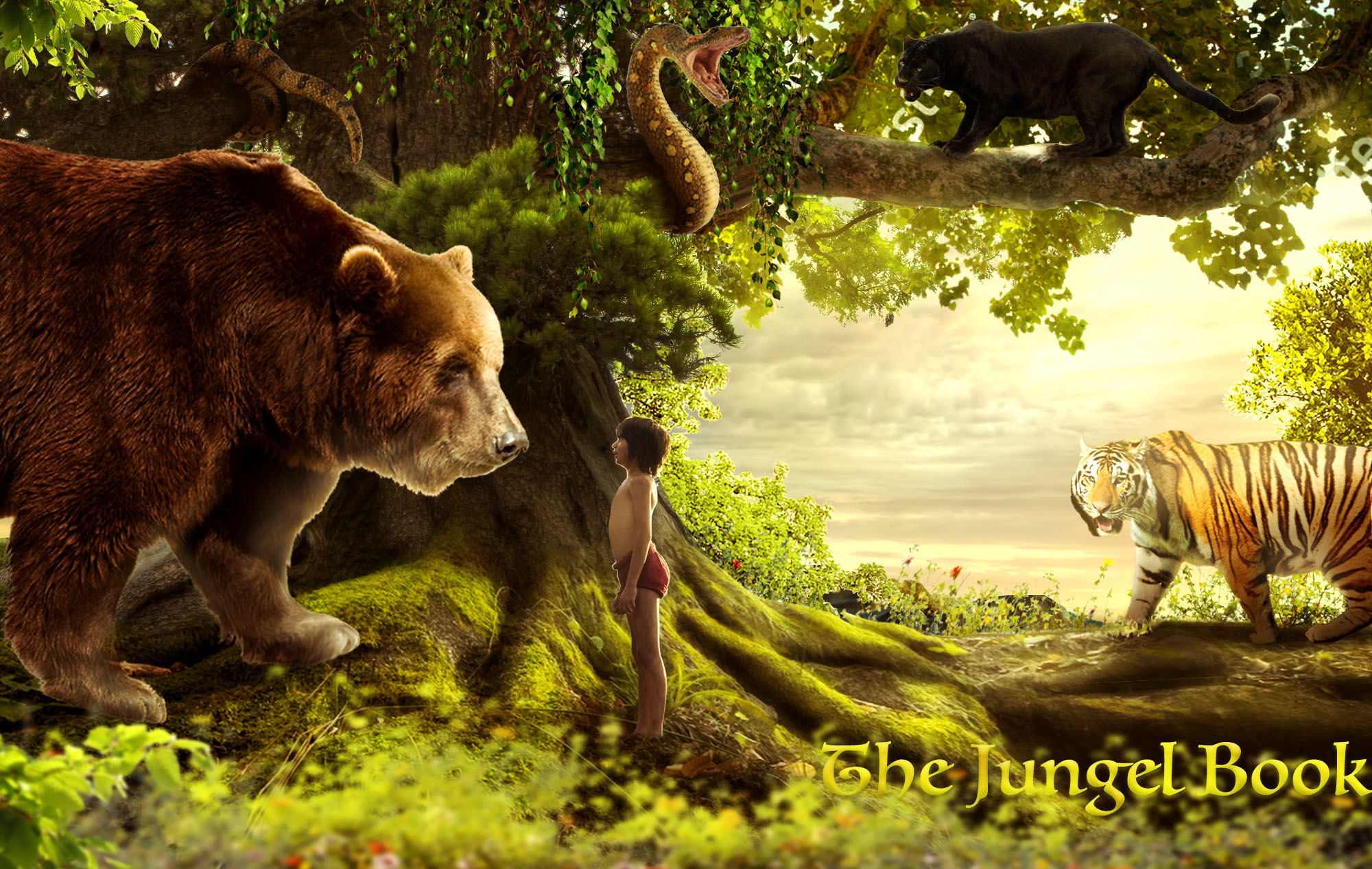the jungel book 森林王子