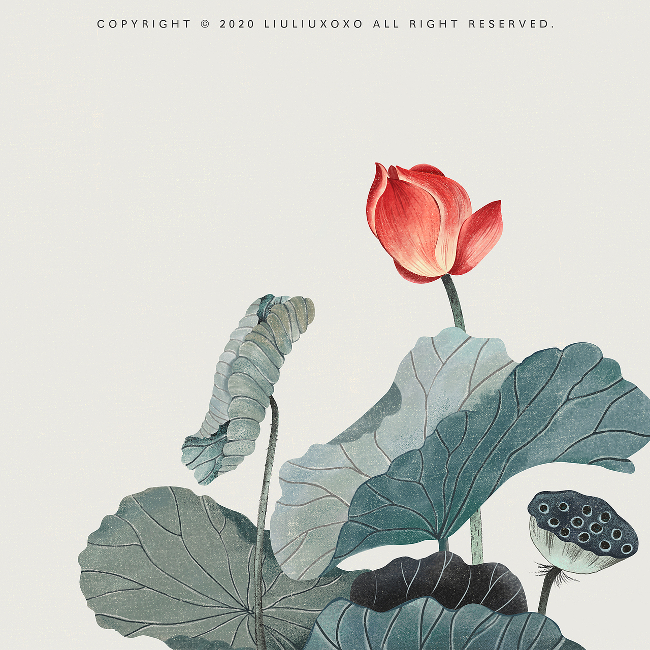 二月的涂涂画画（图ZMTk3NDM0OTIw） - 创作习作 - 站酷设计师LIULIUXOXO原创素材 - 站酷ZCOOL