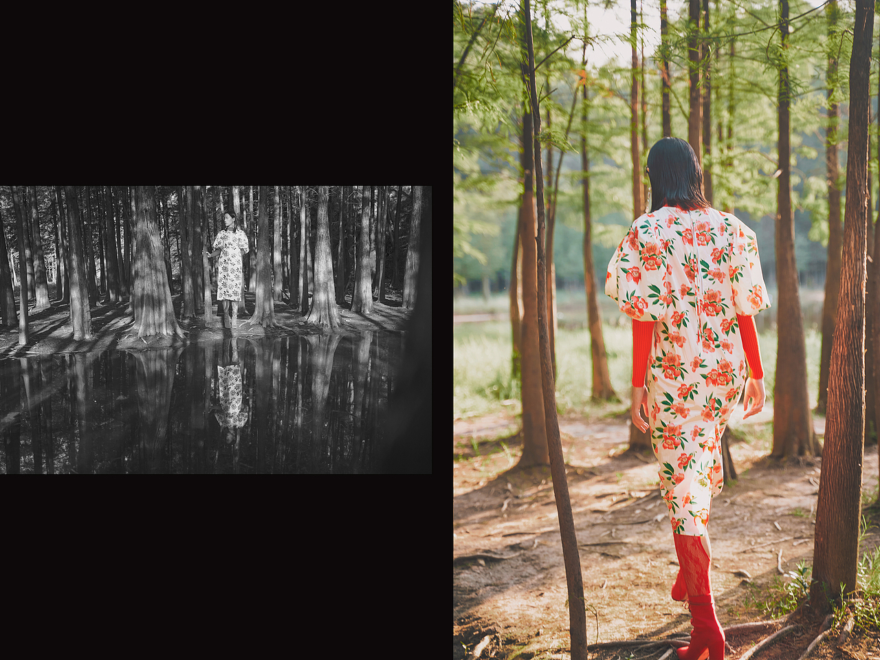 摄影创作|女孩 昆虫 花 大自然