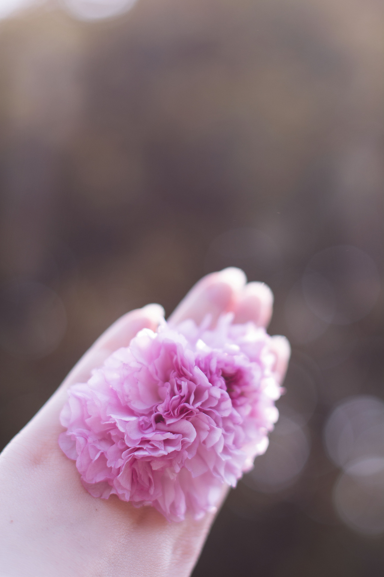 花开季（图ZNzYxMTk2MTY=） - 人像摄影 - 站酷设计师465739788原创素材 - 站酷ZCOOL