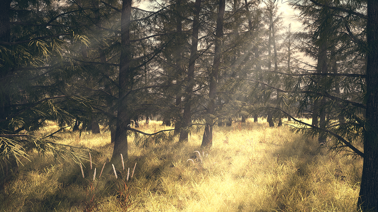 Forest · 森林（图ZMjU1OTE5NzE2） - 场景 - 站酷设计师现场的那支麦克风原创素材 - 站酷ZCOOL