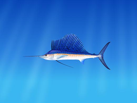 4k原创壁纸分享3