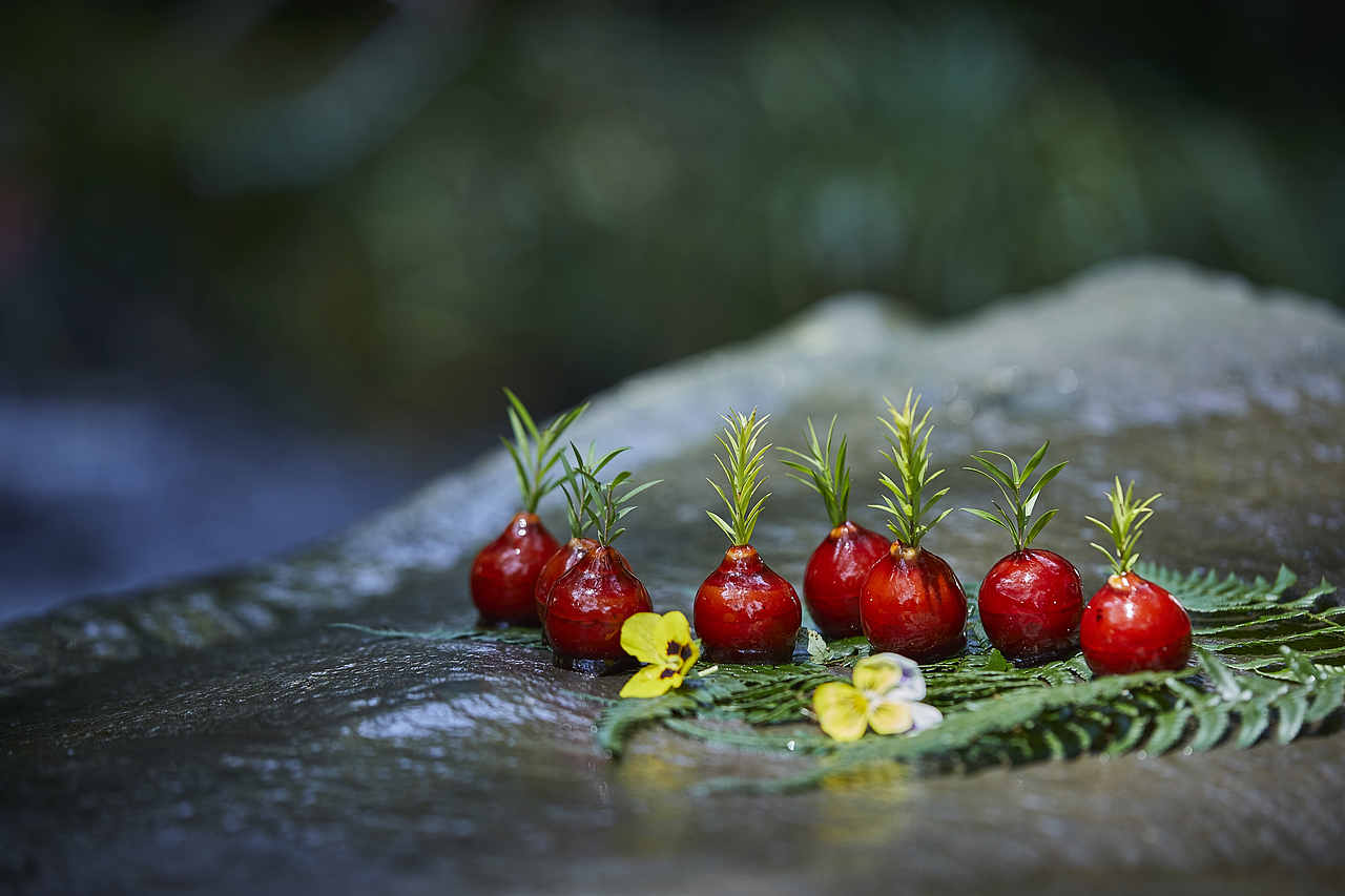 美食摄影｜四合里｜山。溪（图ZMjY5NTc5MDA0） - 美食摄影 - 站酷设计师梅食间原创素材 - 站酷ZCOOL